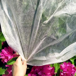 Agrowłóknina zimowa 70g/m2 otulina gruba 50x1,6m biała
