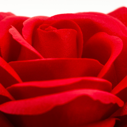 Wieczna róża z naszyjnikiem w pudełku prezentowym szkatułka na dzień kobiet walentynki