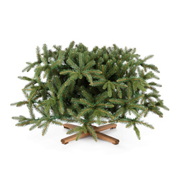 Choinka sztuczna 240 cm Premium Royal Trees świerk syberyjski z drewnianym stojakiem