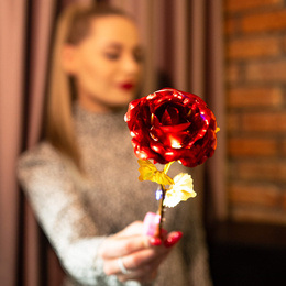 Wieczna róża 25 cm świecąca ozdoba LED prezent kwiat czerwony