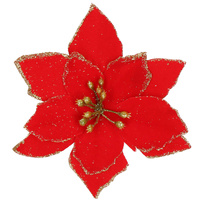 CA0732