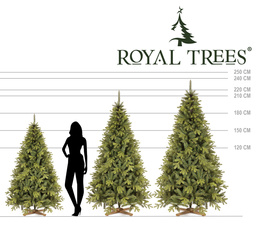 Choinka sztuczna 220 cm Premium Royal Trees świerk syberyjski z drewnianym stojakiem