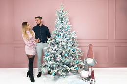 Choinka sztuczna premium 250 cm świerk ośnieżony drzewko bożonarodzeniowe PE