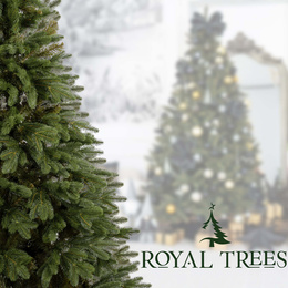 Choinka sztuczna 180 cm sosna zielona PE Royal Trees premium drzewko świąteczne jak żywe