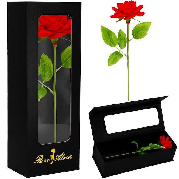Wieczna róża z łodygą 27 cm w pudełku prezentowym czerwona
