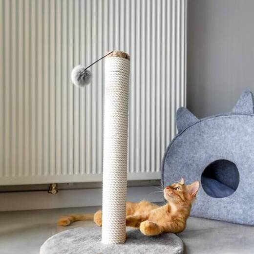 Drapak dla kota sizal słupek z zabawką 103,5 cm 