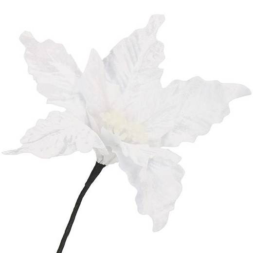 Gwiazda betlejemska 2 szt. sztuczny kwiat, poinsecja biała