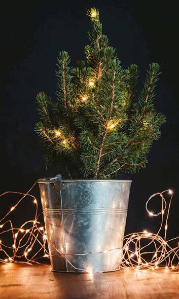 Lampki choinkowe 20 LED druciki mikro na baterie biały ciepły