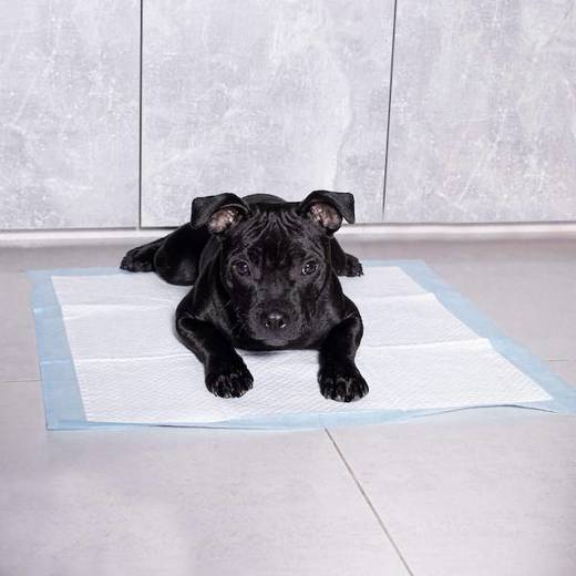 Mata higieniczna dla psa 35x45 cm podkład chłonny 100 szt. do nauki higieny
