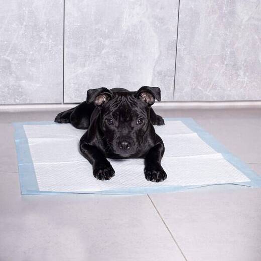 Mata higieniczna dla psa 40x60 cm podkład chłonny 50 szt. do nauki higieny