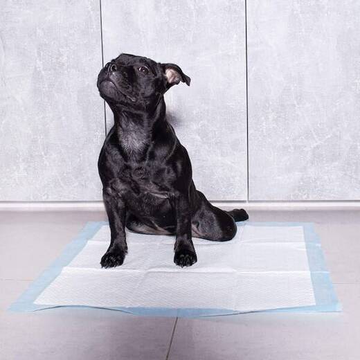 Mata higieniczna dla psa 60x90 cm podkład chłonny 10 szt. do nauki higieny