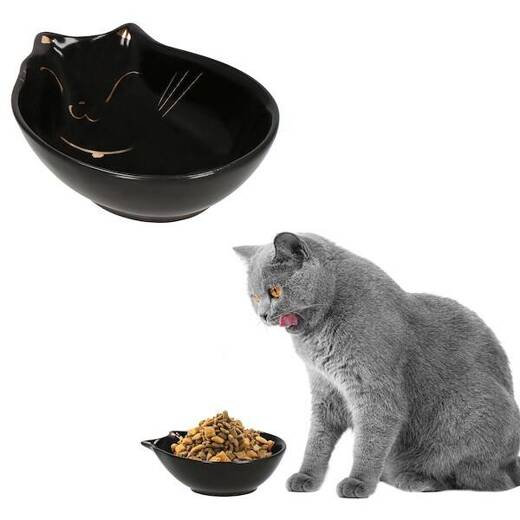 Miska dla kota ceramiczna 15cm czarna, złota