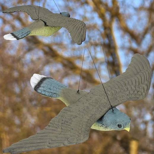 Odstraszacz ptaków, gołębi latający sokół 