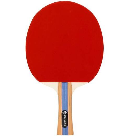Paletki do ping ponga zestaw z 3 piłeczkami i pokrowcem komplet tenis stołowy