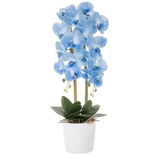 Storczyk sztuczny w doniczce 70cm jak żywy roślina doniczkowa niebieski
