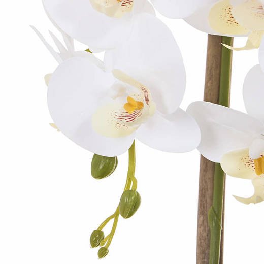 Storczyk sztuczny w doniczce 70cm roślina doniczkowa biały jak żywy