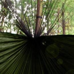Hamak kempingowy z moskitierą 200 kg bujak turystyczny 260x140 cm zielony