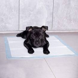 Mata higieniczna dla psa 60x60 cm podkład chłonny 10 szt. do nauki higieny