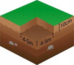 Siatka na krety 2m x 50 m przeciw kretom, nornicom 30g/m2